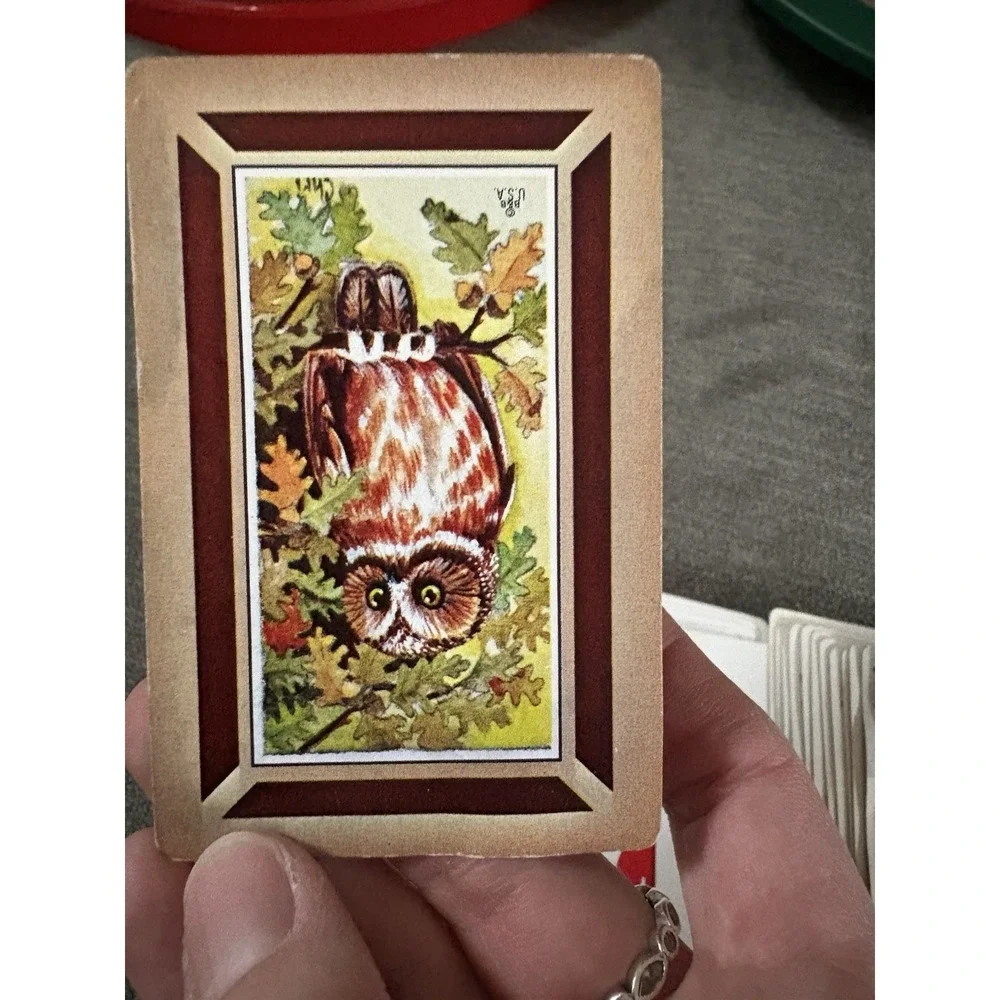 Vintage Owls Playing Cards MCM Colorful‎ w Jokers B&B Hippie Barn Owl